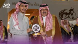 بطولة حائل لجمال الخيل العربية الأصيلة